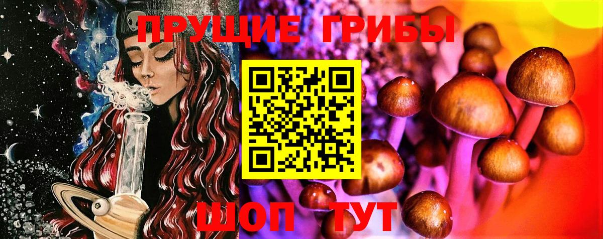 Холмск  Галлюциногенные грибы Psilocybe  Вход с VPN  Галлюциногенные грибы Psilocybe 